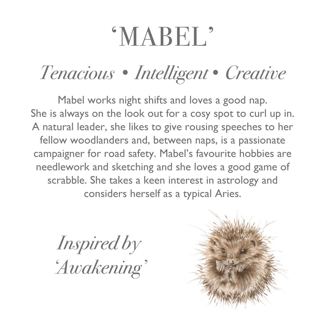 'Mabel' hedgehog