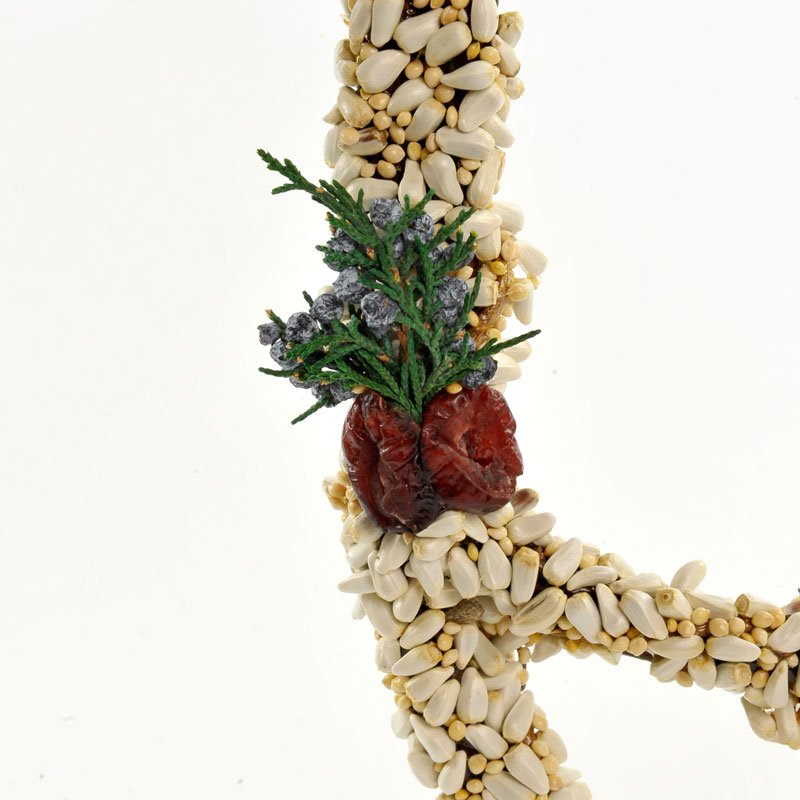 Seed Angel