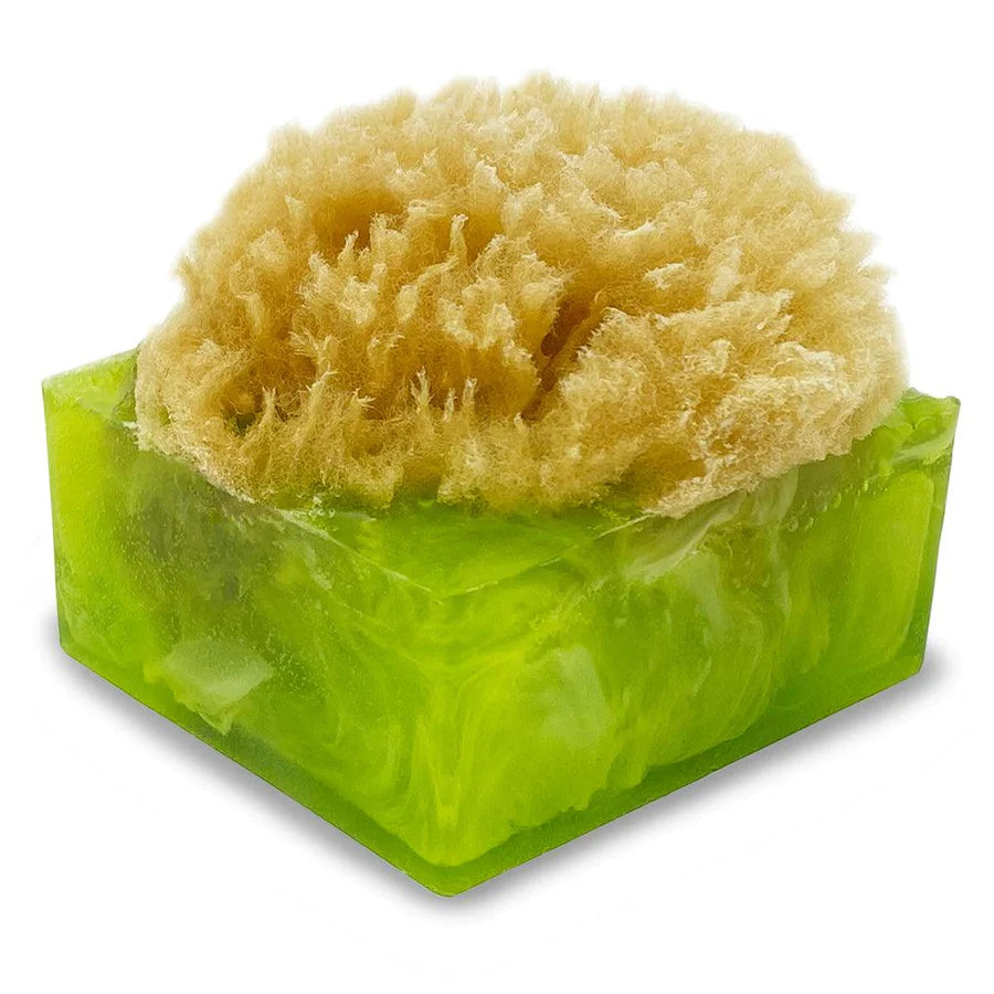 Sponge Bar Glycerin Bar Soap