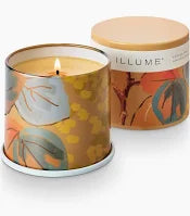 Santal Birch Illume Collection