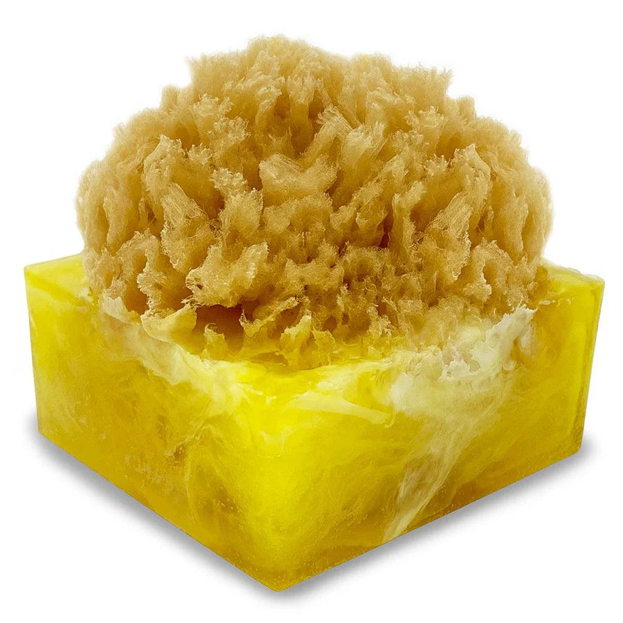 Sponge Bar Glycerin Bar Soap