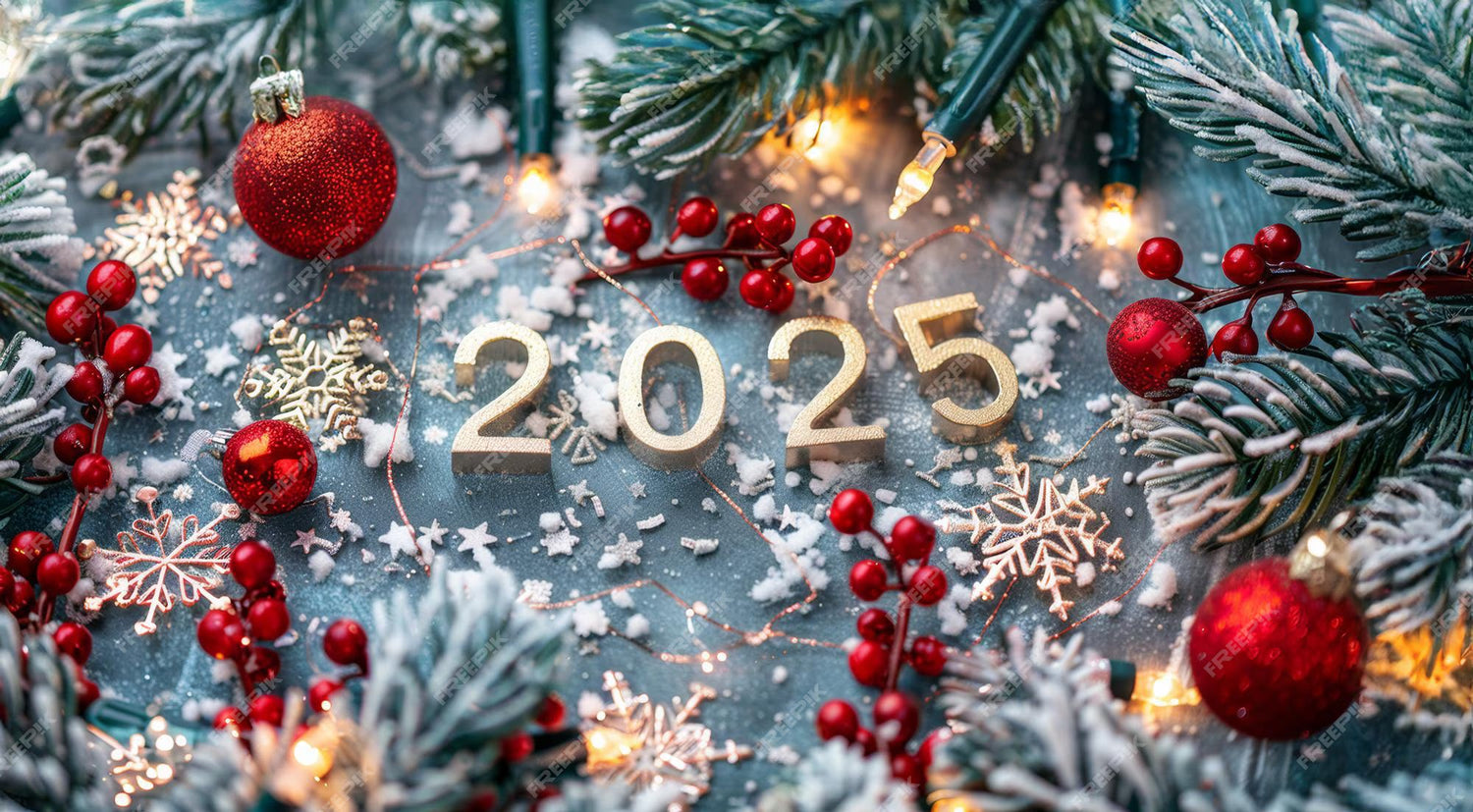 Holiday Gifts 2025