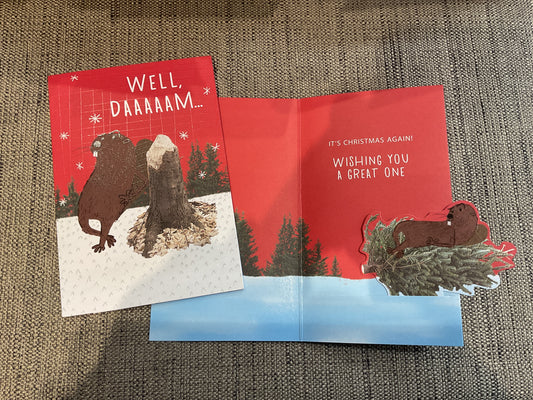 Christmas Card For Anyone