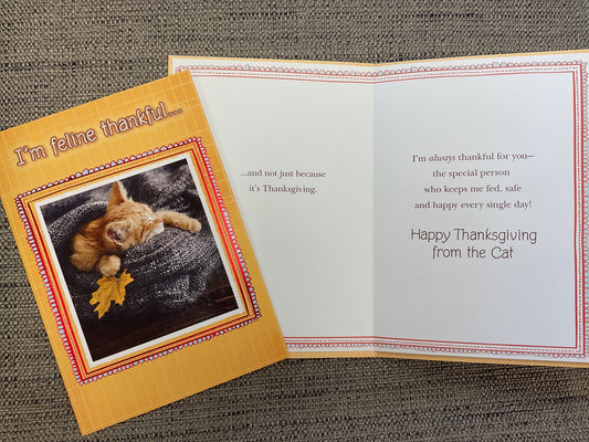 Happy Thanksgiving from the Cat Card
