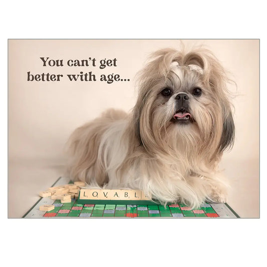 Minky - Birthday Value Card