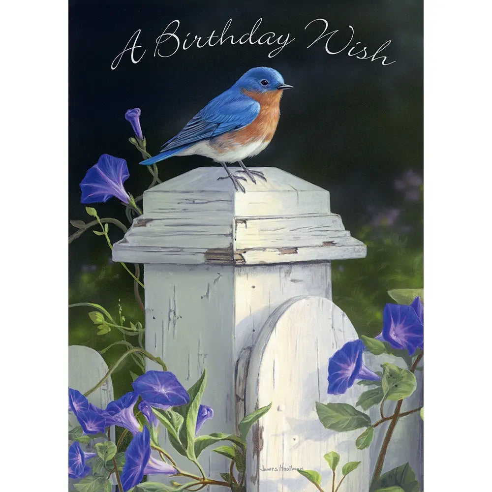 Morning Glory - Birthday Value Card