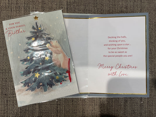 Brother & Family Christmas Card