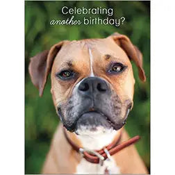 Funny Birthday Card