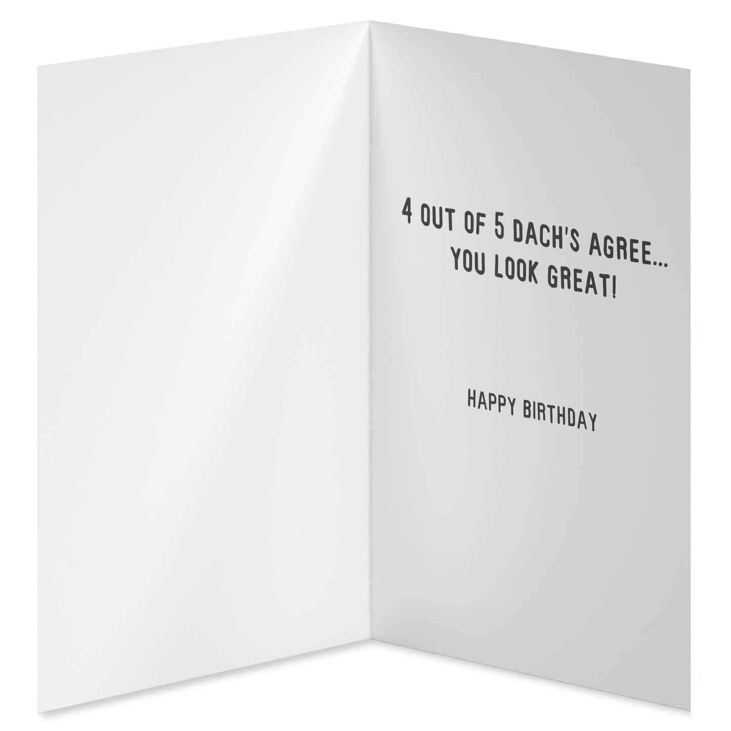 Birthday Humorous | Funny Birthday Card with Dachshunds