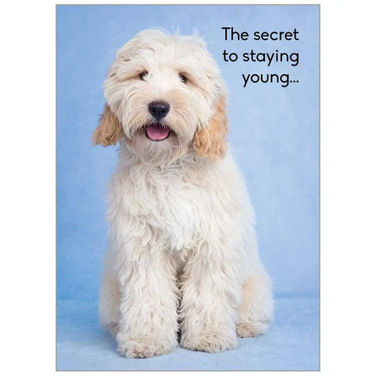 The Secret to Staying Young Value Birthday Card