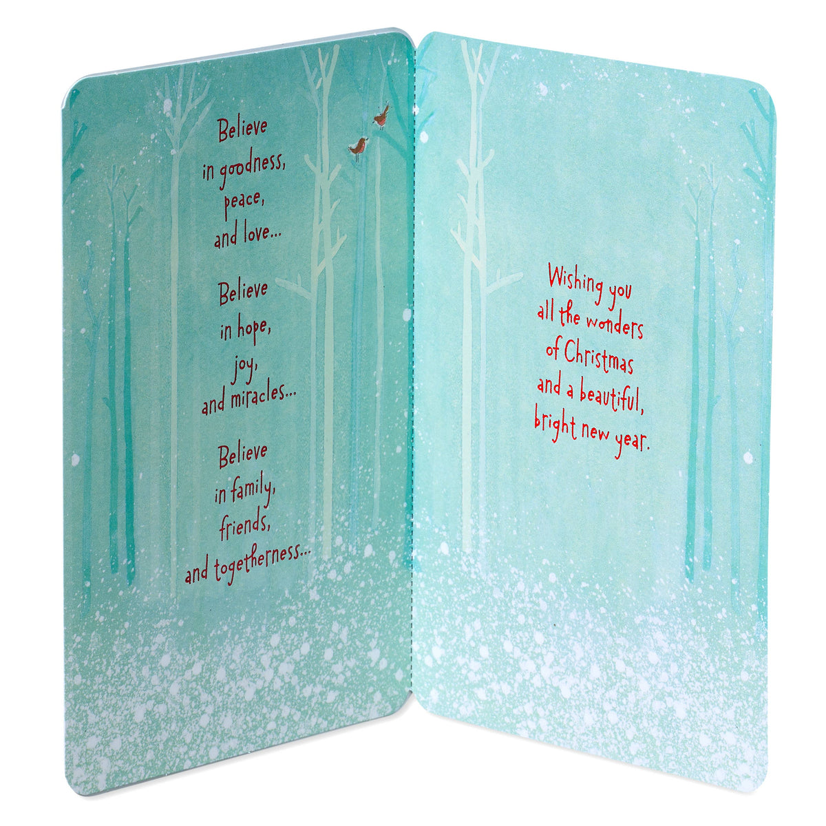 Believe in Christmas Wonder Holiday Greeting Card