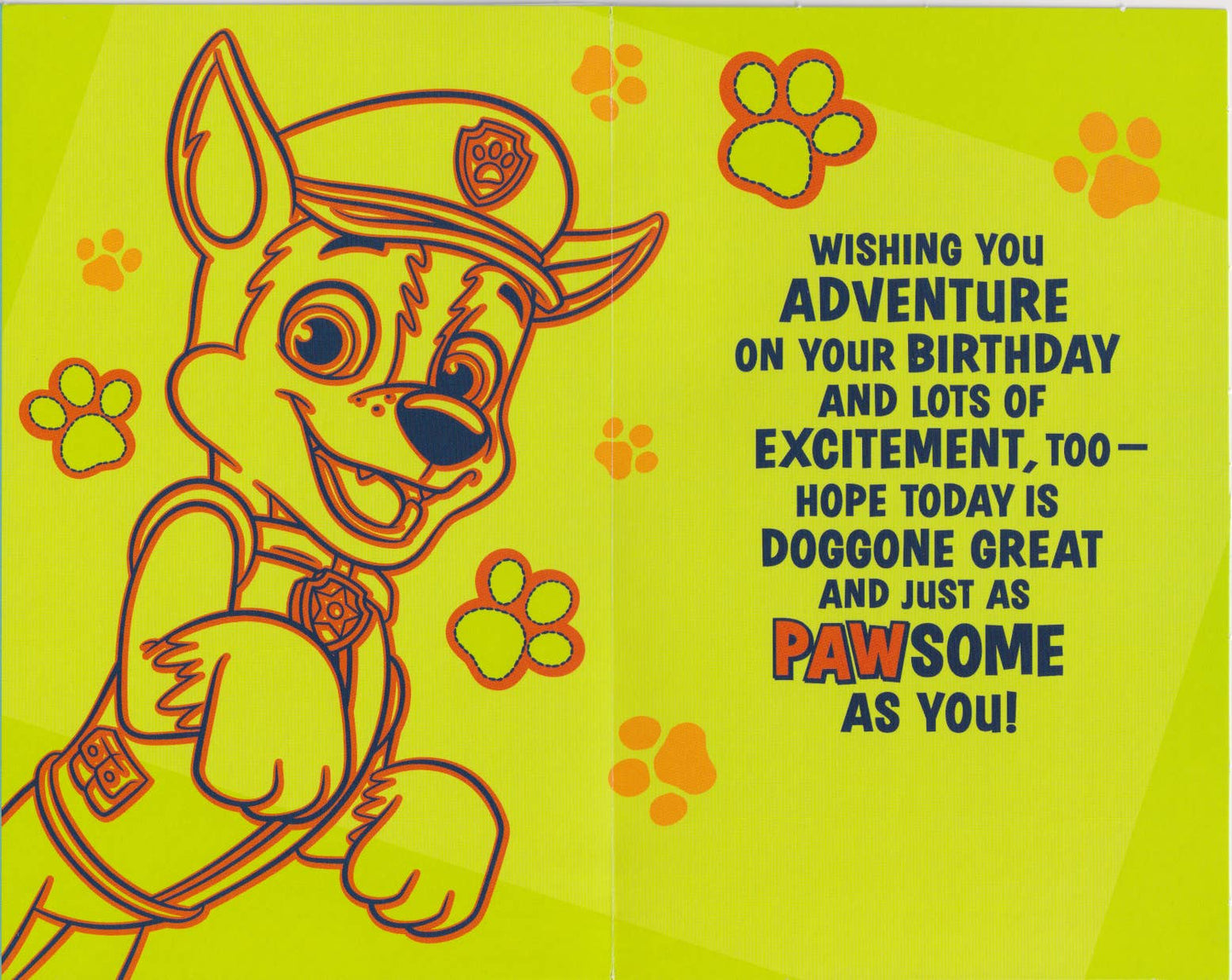 Paw Patrol Birthday Dog Adventure Theme “Hip-Howl Hooray"