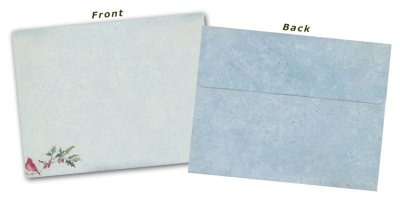 Cardinal and Berries Boxed Christmas Cards