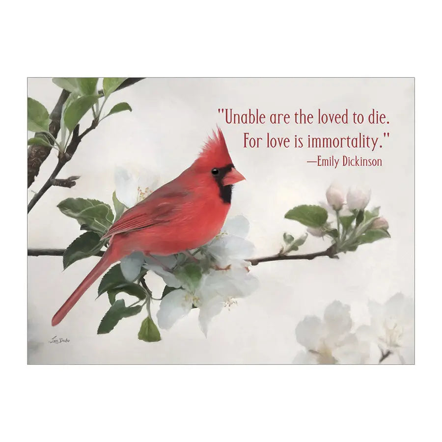 Cardinal's Comfort - Sympathy Card