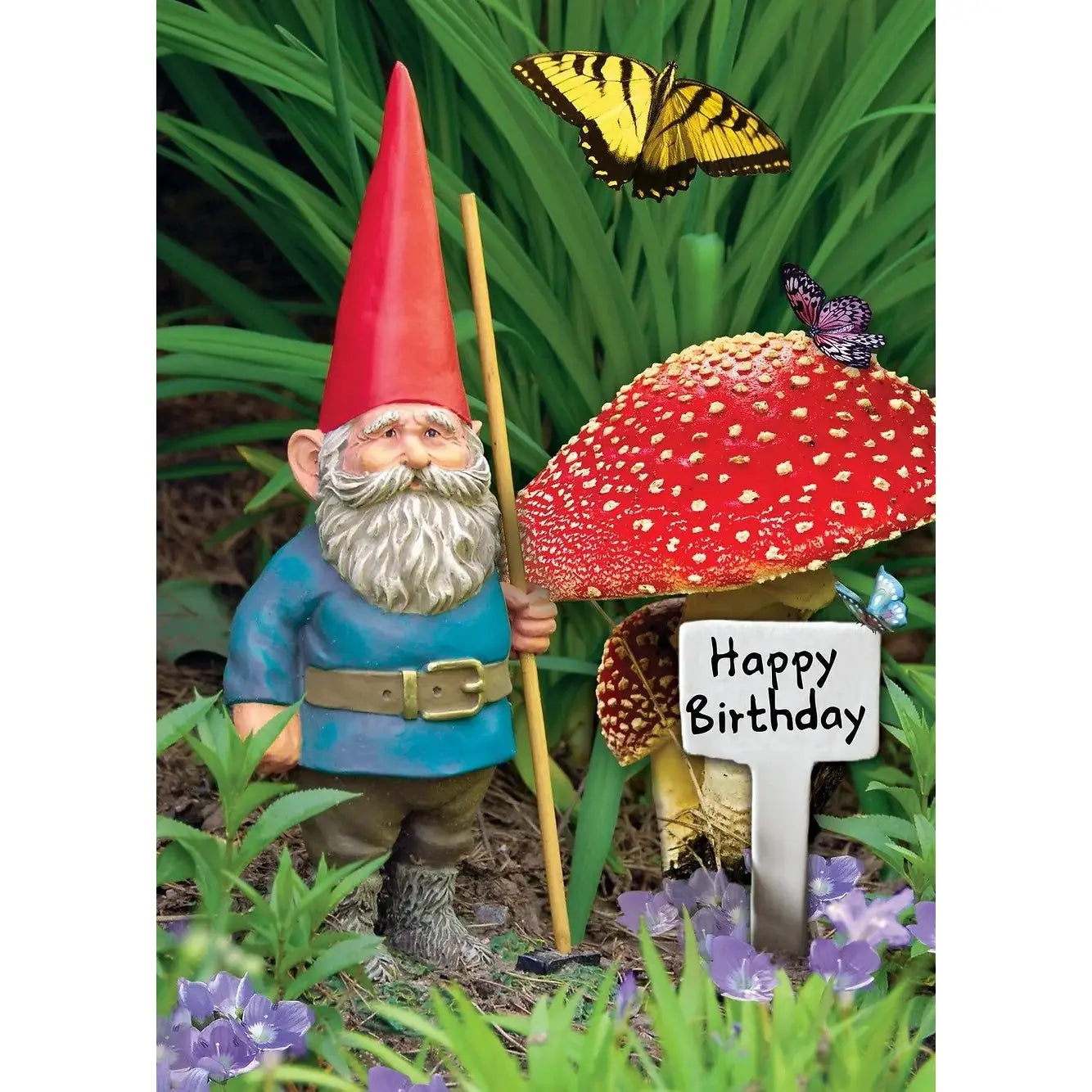 Birthday Card