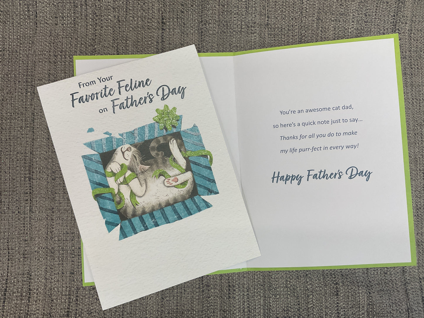 From cat - Father’s Day Card