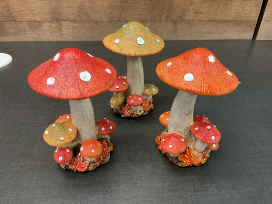 Resin Harvest Mushrooms