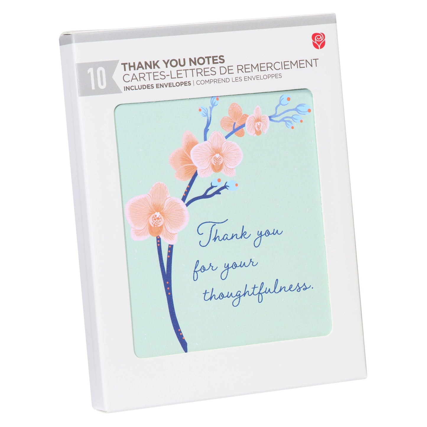 Thank You Card Stationery Notes, Thoughtfulness (10-Count)