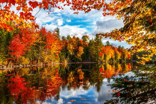 Autumn Lake 500 Piece Jigsaw Puzzle