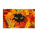 Peekaboo Cat Mat Insert