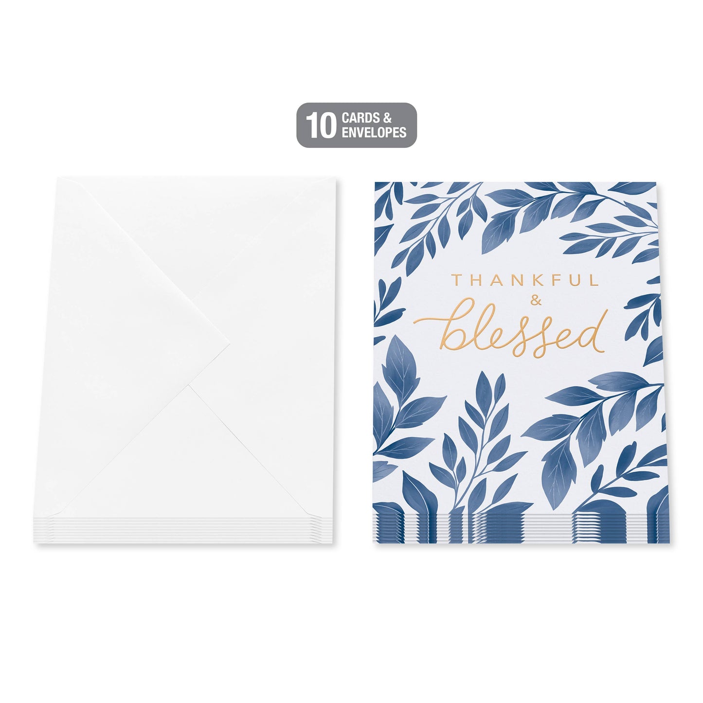 Thank You Card Stationery Notes, Blessed Botanicals 10-Count