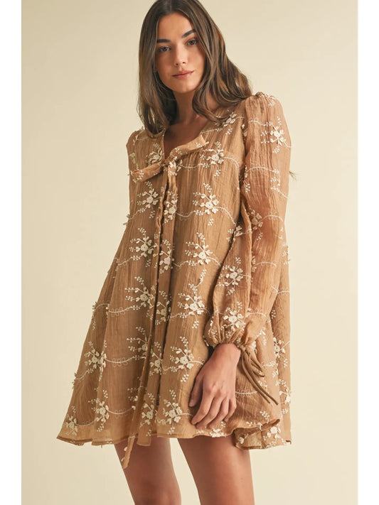 Embroidered Long Sleeve Mini Dress