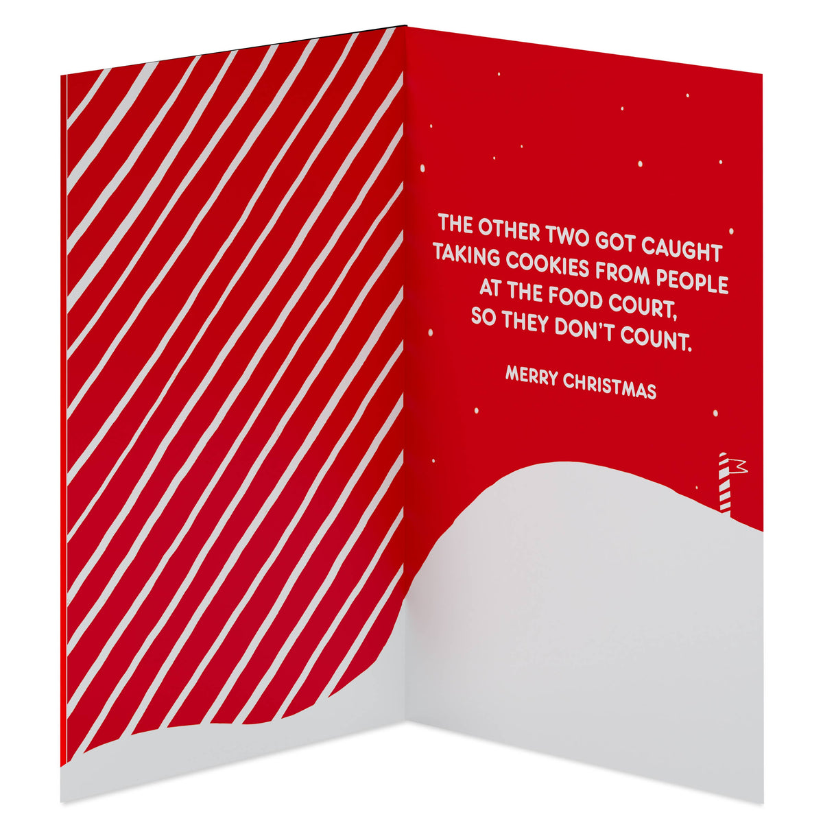 Funny Christmas Card for Anyone (Mall Santas)