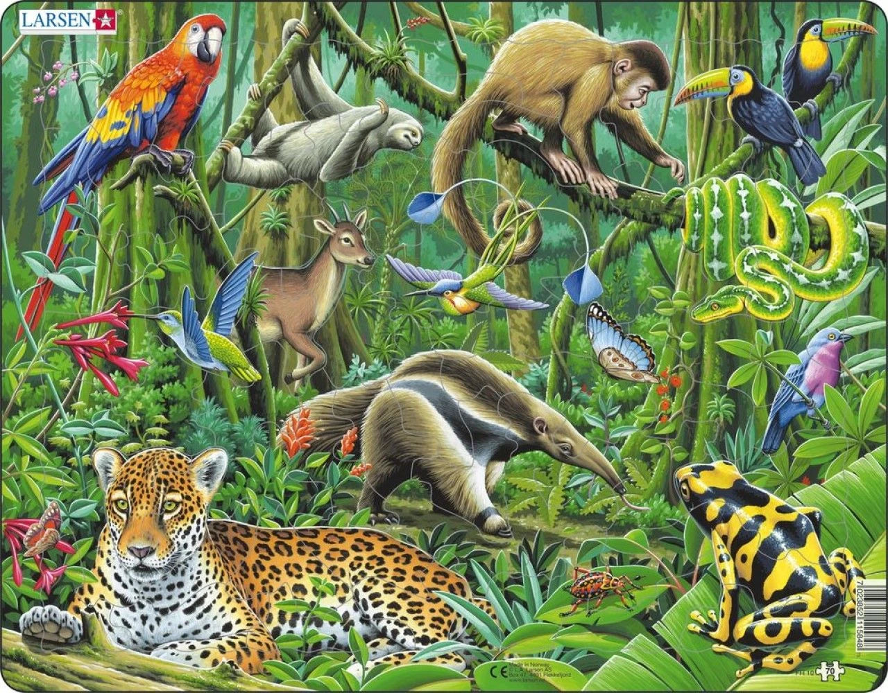 South American Rainforest 70 Piece Children's Educational Jigsaw Puzzle