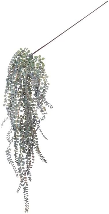 Dark Green Moringa Hanging Vine