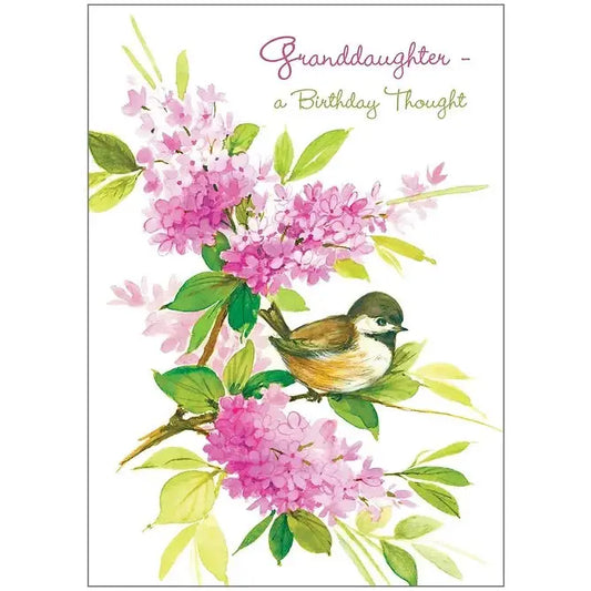 Granddaughter Birthday Card