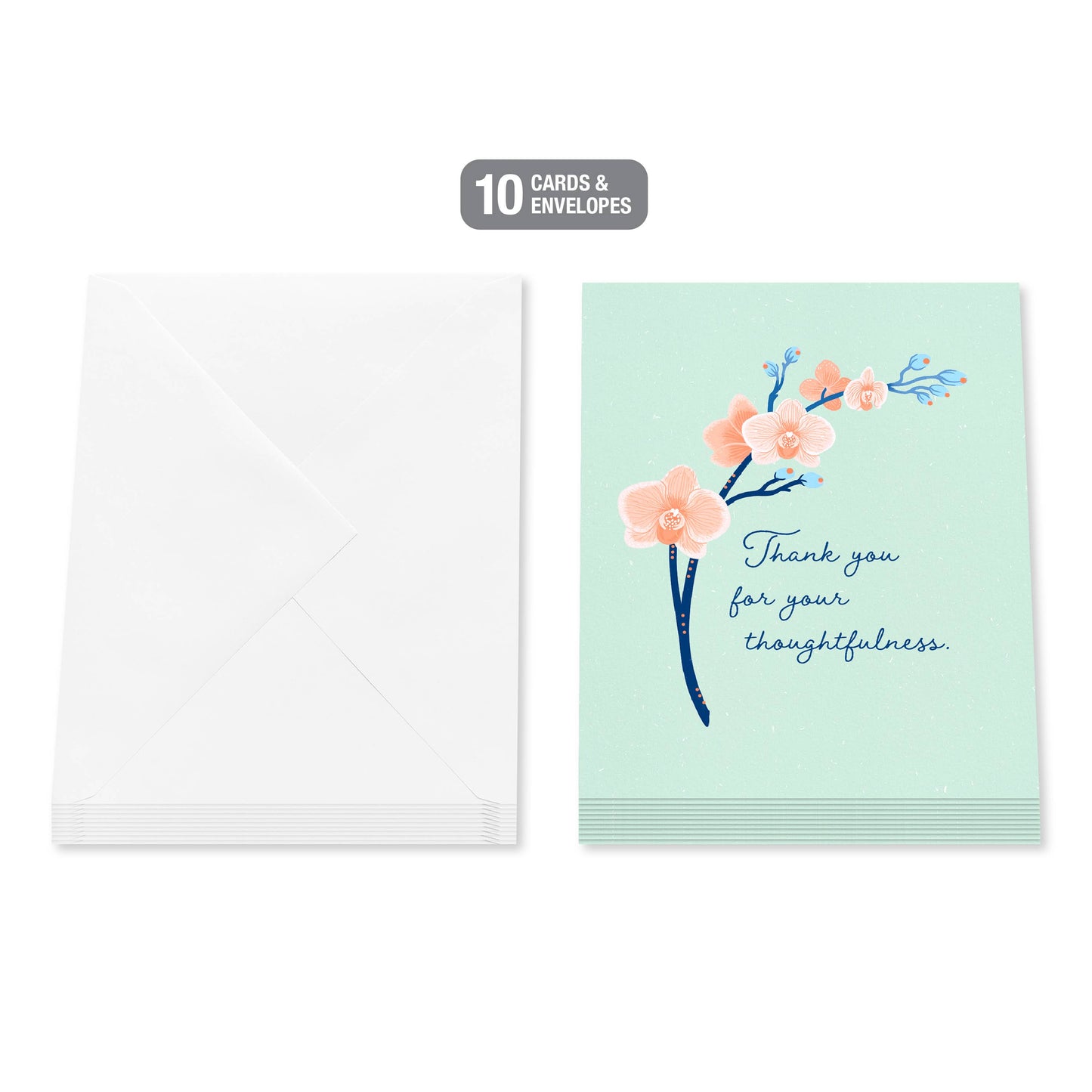 Thank You Card Stationery Notes, Thoughtfulness (10-Count)