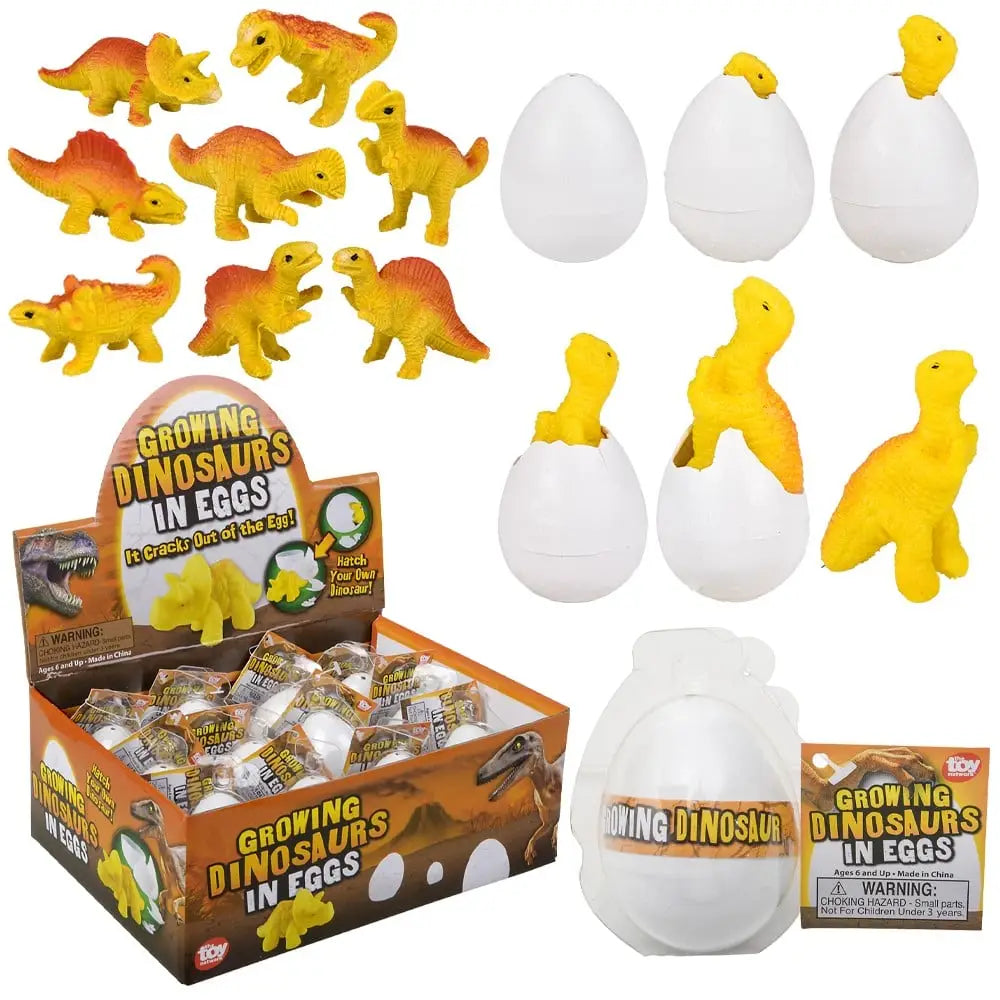 Growing Dinosaur Egg