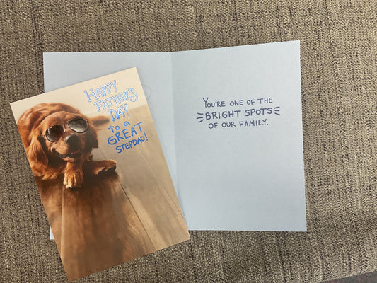 Stepdad *Funny* - Father’s Day Card