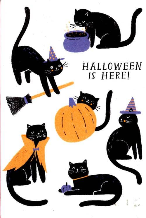 Halloween General