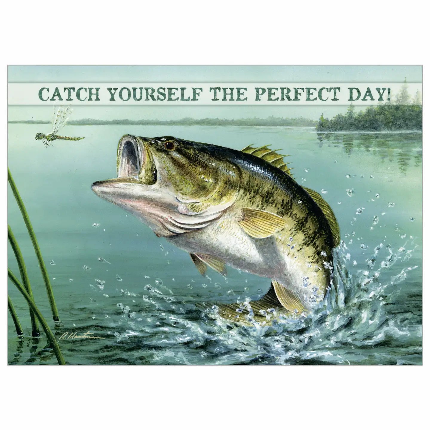 Bass - Birthday Card