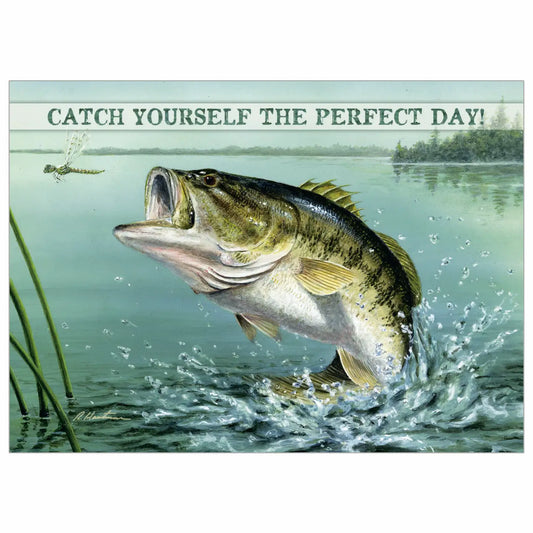Bass - Birthday Card