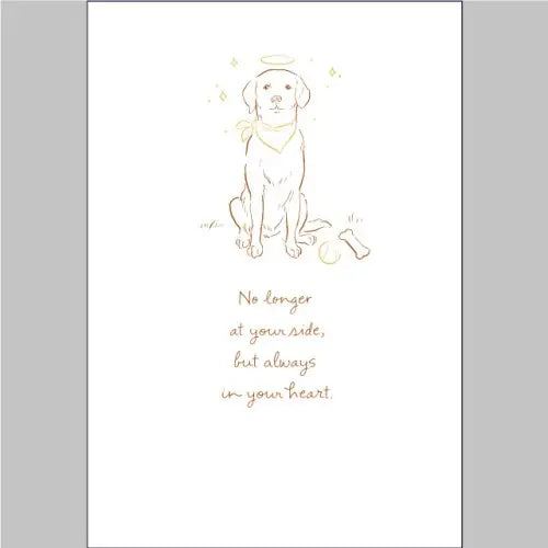 Loss of Pet Sympathy Card