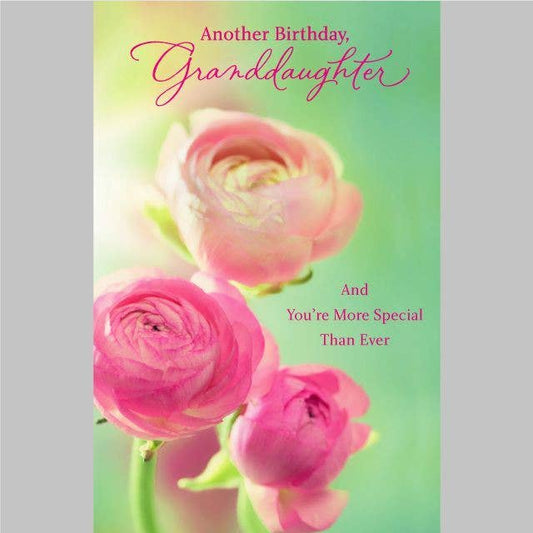 Granddaughter Birthday Card