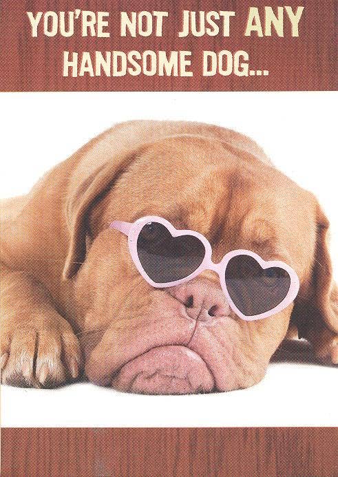 Fathers Day Husband Humorous