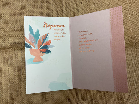 Stepmom - Mother’s Day