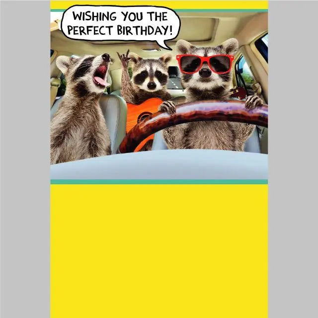 Humorous Birthday Card