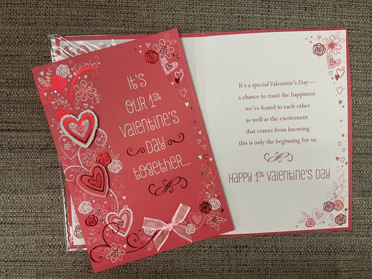 Our 1st Valentine’s Day Together