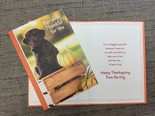 Fur-ever Thankful For You - From Dog Thanksgiving Card