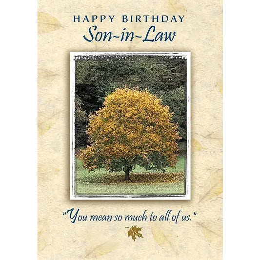 Son-in-Law Birthday Card