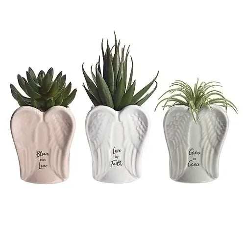 Angel Wing Planters