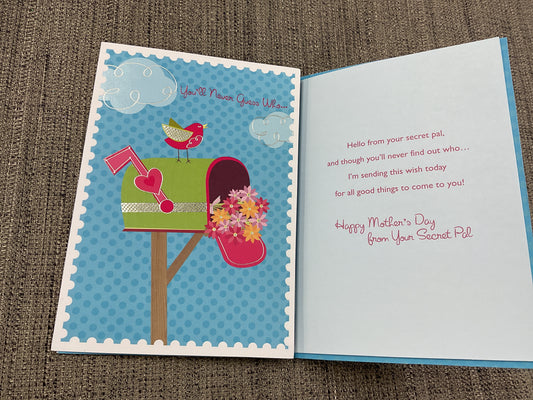 Mother’s Day-From Secret Pal