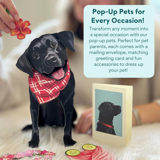 Black Lab Pup-Up Pup