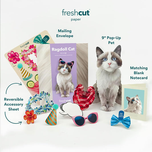 Ragdoll Pop-Up Cat