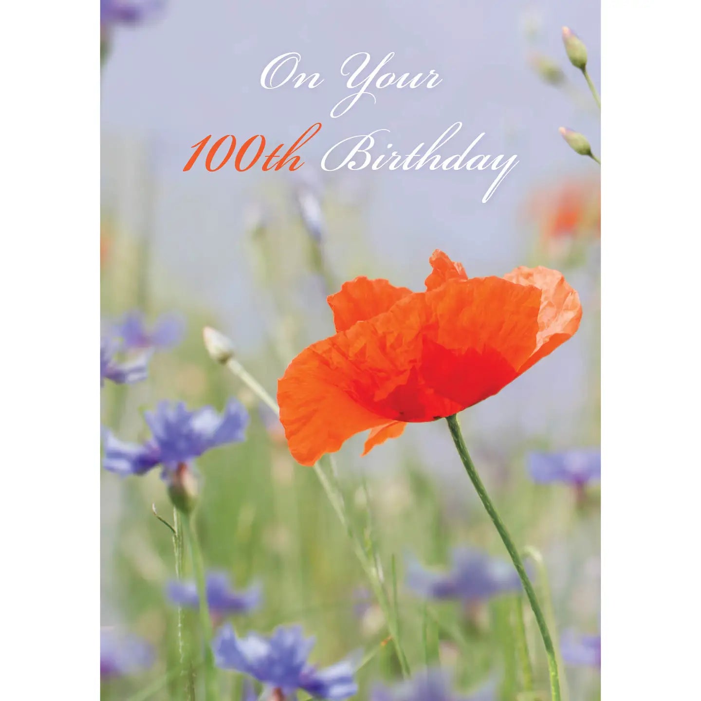 Milestone Birthday 100th