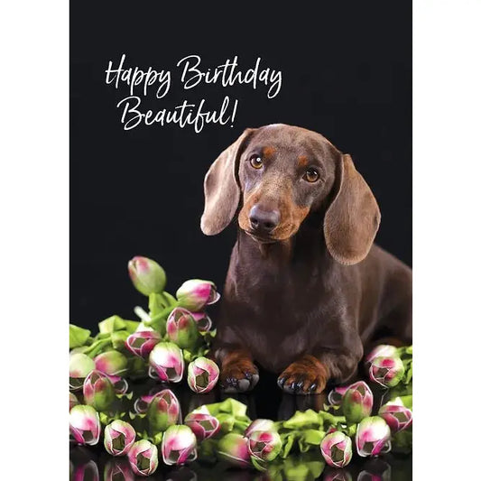 Birthday Card